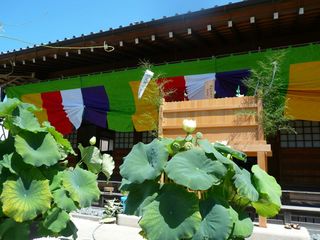 20130820-001.JPG