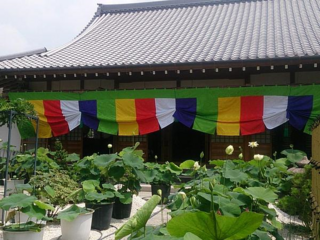 20150625-01.png
