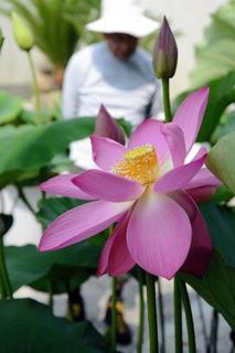 kobe-20140717.jpg
